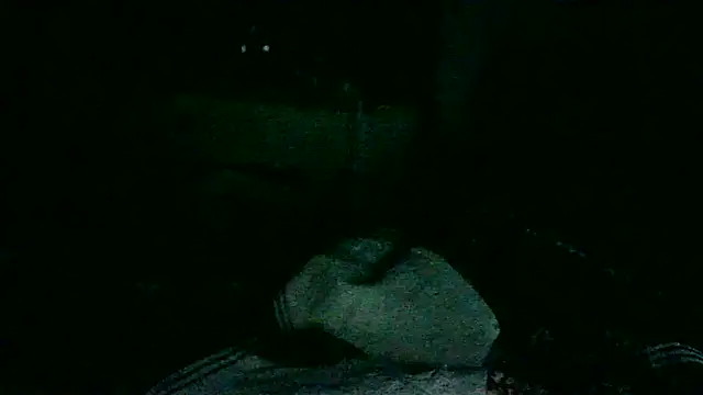 Snapshot of DI4MOND_FIR3 chatting on 11/18/25, 10:51 DI4MOND FIR3 online show from 11/18/25, 10:51