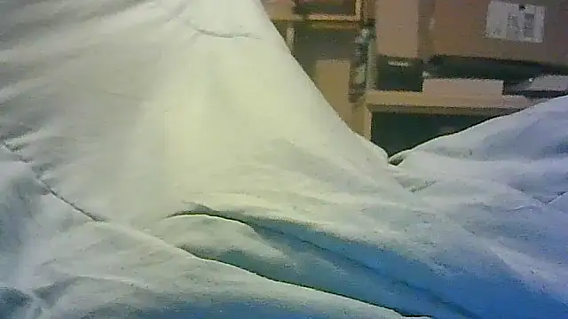 Snapshot of DI4MOND_FIR3 chatting on 11/11/25, 06:19 DI4MOND FIR3 online show from 11/11/25, 06:19