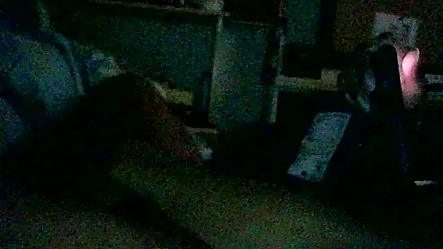 Snapshot of DI4MOND_FIR3 chatting on 11/12/25, 09:51 DI4MOND FIR3 online show from 11/12/25, 09:51