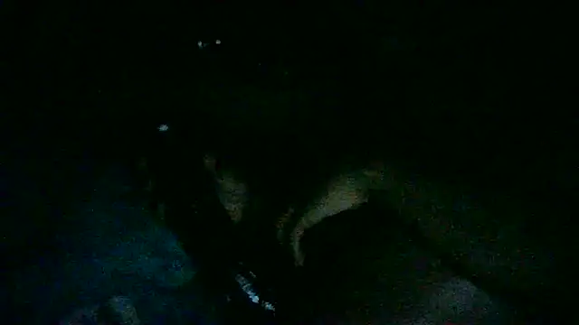 Snapshot of DI4MOND_FIR3 chatting on 11/07/25, 09:58 DI4MOND FIR3 online show from 11/07/25, 09:58