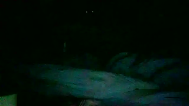 Snapshot of DI4MOND_FIR3 chatting on 11/27/25, 12:27 DI4MOND FIR3 online show from 11/27/25, 12:27