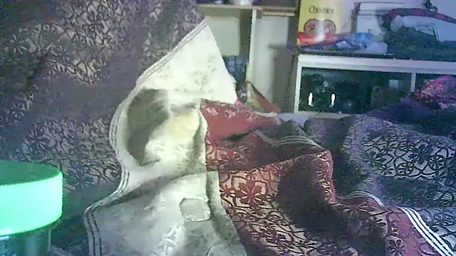 DI4MOND FIR3 online show from 06/03/26, 02:33