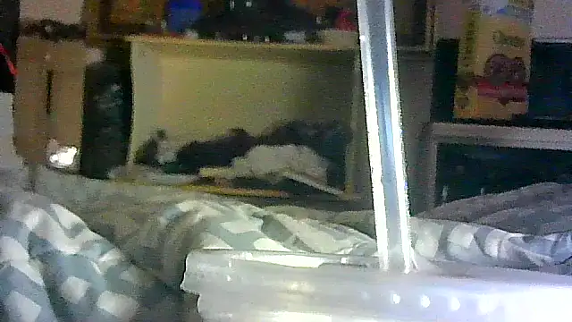 Snapshot of DI4MOND_FIR3 chatting on 04/17/26, 02:53 DI4MOND FIR3 online show from 04/17/26, 02:53