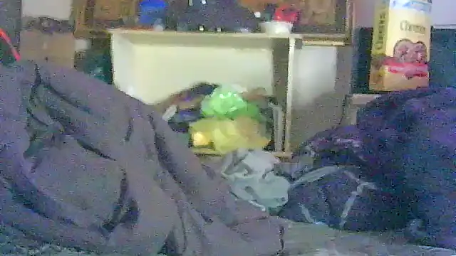 DI4MOND FIR3 online show from 04/09/26, 06:25