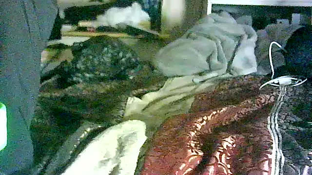 Snapshot of DI4MOND_FIR3 chatting on 04/24/26, 02:02 DI4MOND FIR3 online show from 04/24/26, 02:02