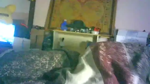 DI4MOND FIR3 online show from 02/03/26, 06:22