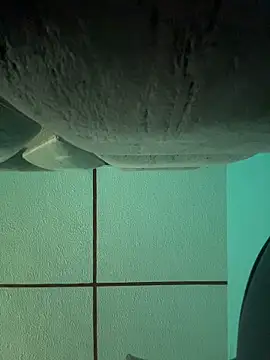 Snapshot of dulce_celeste15 chatting on 11/15/25, 03:05 dulce celeste15 online show from 11/15/25, 03:05