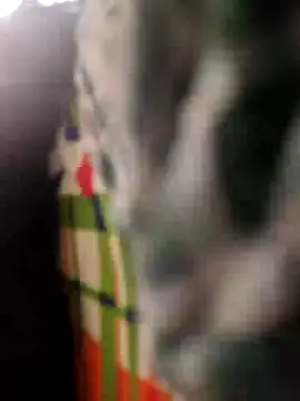 Priya-bhabi012 online show from 04/25/26, 02:03