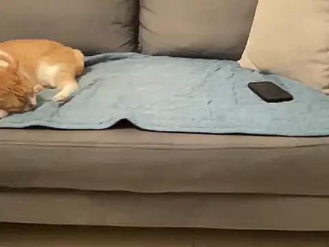 4small4inchlol online show from 11/14/25, 03:59