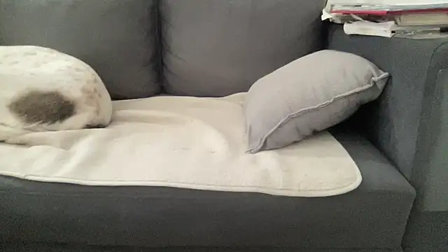 4small4inchlol online show from 06/26/26, 11:49