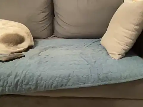 4small4inchlol online show from 02/20/26, 11:50