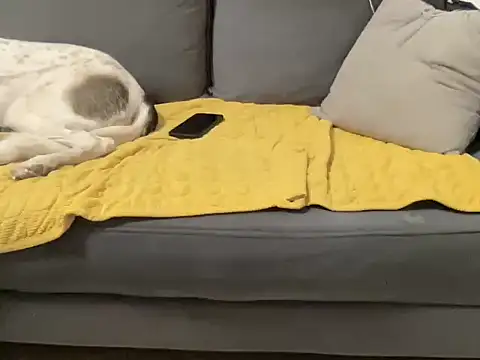 4small4inchlol online show from 10/29/25, 04:39