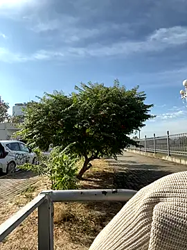 SandraCarter online show from 09/18/25, 06:05