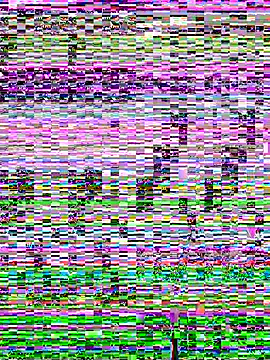 Snapshot of SandraCarter chatting on 06/07/26, 07:13 SandraCarter online show from 06/07/26, 07:13