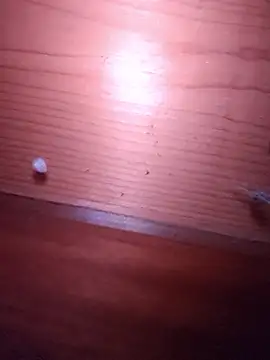 brbrrbrbrb online show from 02/24/26, 02:51