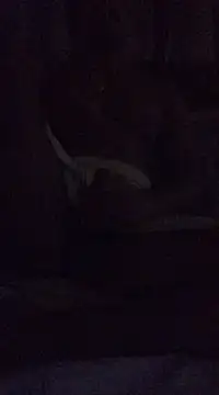 Snapshot of morenonicexxx chatting on 03/16/25, 01:07 morenonicexxx online show from 03/16/25, 01:07