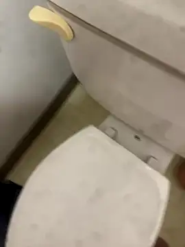 elperrinHN online show from 11/13/25, 01:20