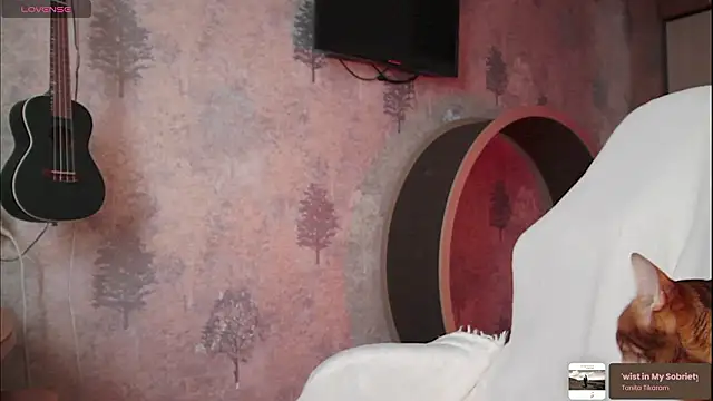 ms allison w online show from 02/19/26, 11:29