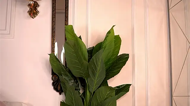 AvaShayy online show from 03/04/26, 08:38