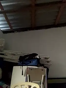 Charlotte Bradshaw online show from 01/07/26, 05:29