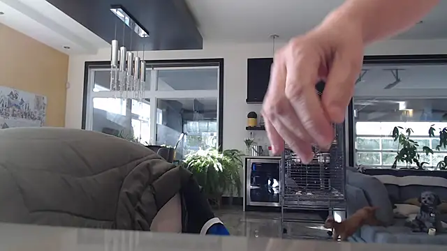 Toy-Daddy online show from 11/06/25, 06:45