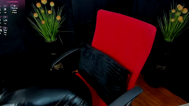Snapshot of MistressMeghan chatting on 09/11/25, 09:53 MistressMeghan online show from 09/11/25, 09:53
