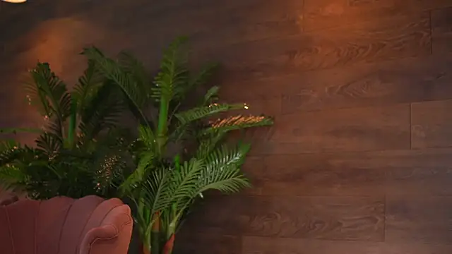 KairaAndrews online show from 02/12/26, 07:57