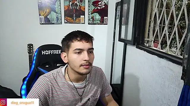 Snapshot of DiegoRogue_ chatting on 02/09/25, 10:43 DiegoRogue online show from 02/09/25, 10:43