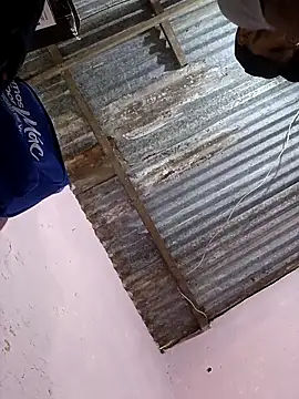 Sur1711 online show from 01/05/26, 07:17