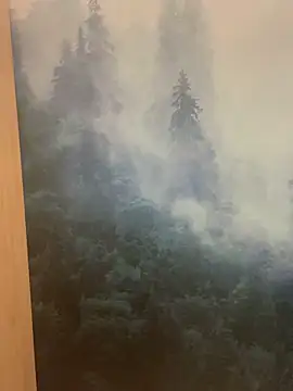 ladoucedu34 online show from 02/11/26, 03:34