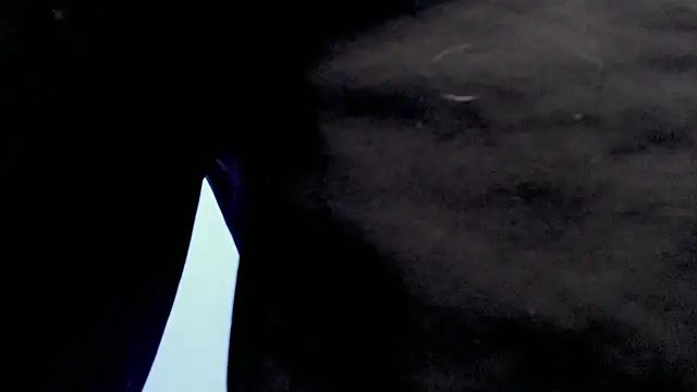 Jake tripp online show from 09/27/25, 04:18