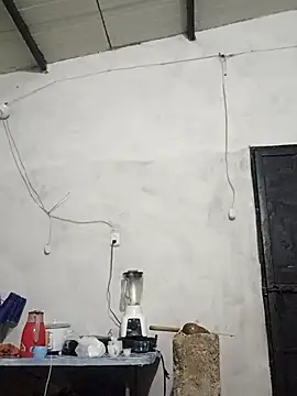 travieso2893 online show from 11/13/25, 03:10