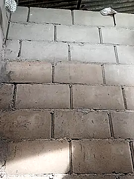 travieso2893 online show from 11/25/25, 06:52