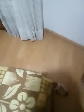 rush6983 online show from 11/06/25, 01:31