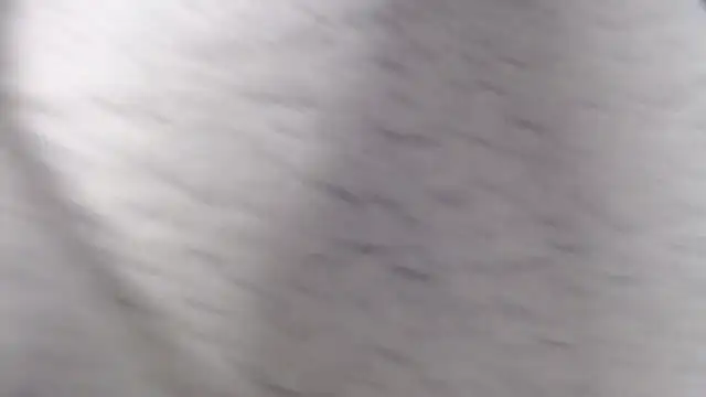 fk me good online show from 12/02/25, 04:52