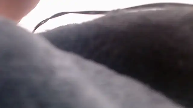 fk me good online show from 12/16/25, 03:55