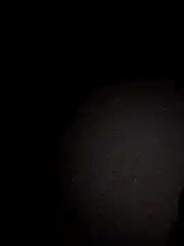 Metetededosmami online show from 01/11/26, 09:05