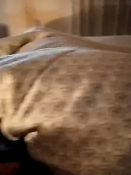 Porco81cazzo online show from 01/06/26, 09:41