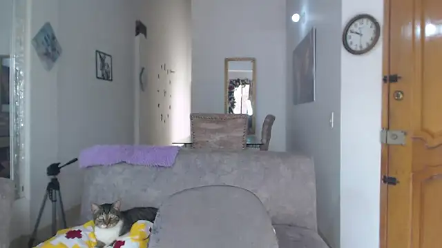 divinepleasury online show from 11/12/25, 03:49