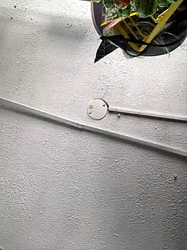 Edged Hot69 online show from 10/24/25, 03:33