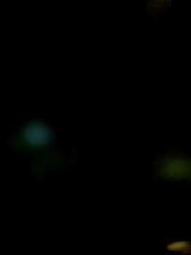 JAWHARA  online show from 12/14/25, 10:04