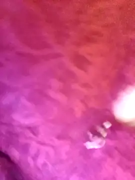 JAWHARA  online show from 11/12/25, 11:30