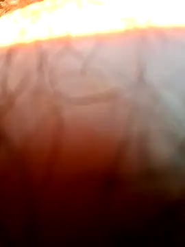 mfreitas005 online show from 04/22/26, 12:56