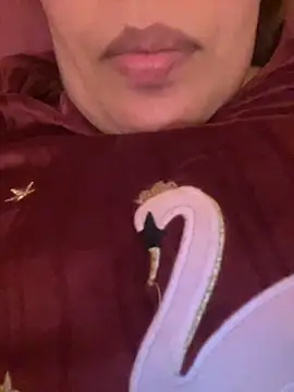 Samarr 9and online show from 12/20/24, 02:26