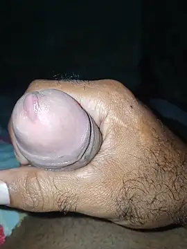 taylorWiiz online show from 11/26/25, 04:56