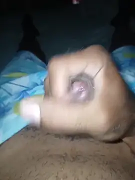 taylorWiiz online show from 12/15/25, 07:52