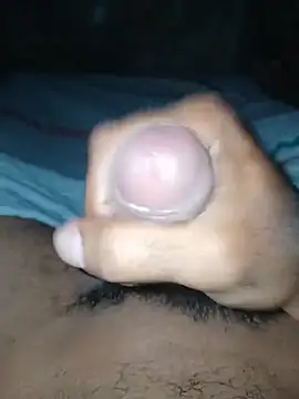 taylorWiiz online show from 01/17/26, 04:49