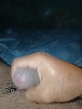 taylorWiiz online show from 01/11/26, 05:58