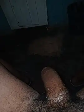 taylorWiiz online show from 12/23/25, 01:49