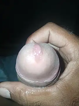 taylorWiiz online show from 11/19/25, 04:56